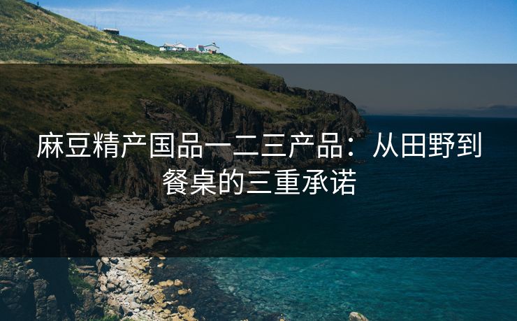 麻豆精产国品一二三产品：从田野到餐桌的三重承诺