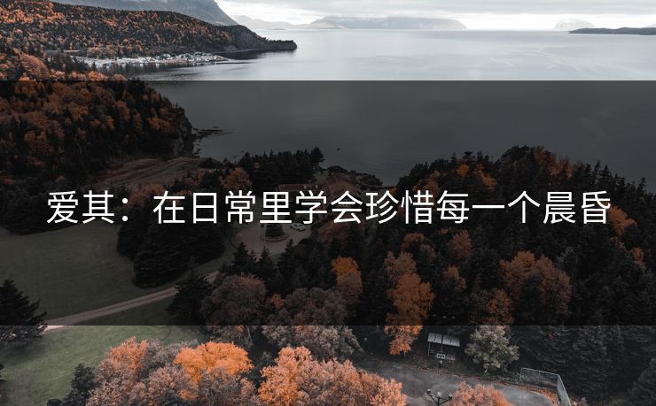 爱其：在日常里学会珍惜每一个晨昏