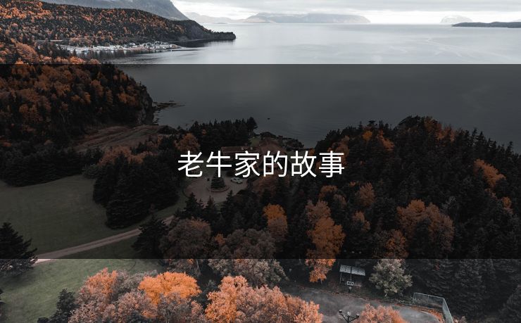 老牛家的故事