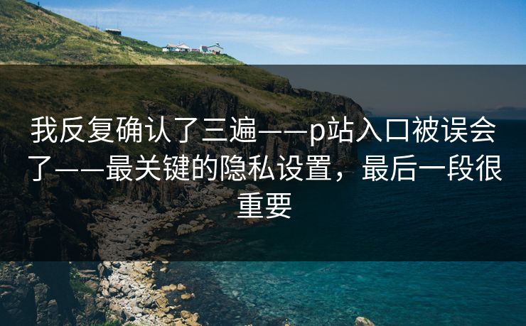 我反复确认了三遍——p站入口被误会了——最关键的隐私设置，最后一段很重要