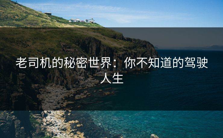 老司机的秘密世界：你不知道的驾驶人生
