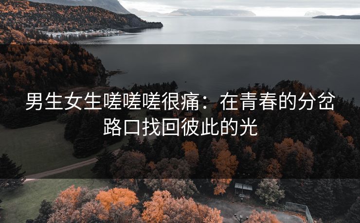 男生女生嗟嗟嗟很痛:在青春的分岔路口找回彼此的光 男生女生嗟嗟嗟很痛:在青春的分岔路口找回彼此的光